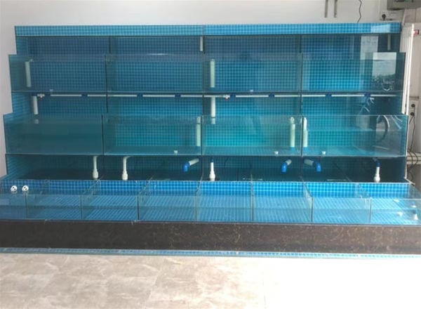 海鮮冷水機